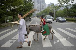 骑驴上学2御剑飞行赶早八,骑驴上学变御剑飞行的早八传奇